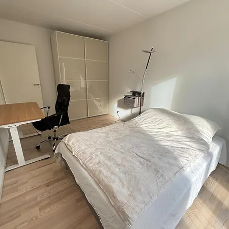Cozy Townhouse Near Copenhagen *